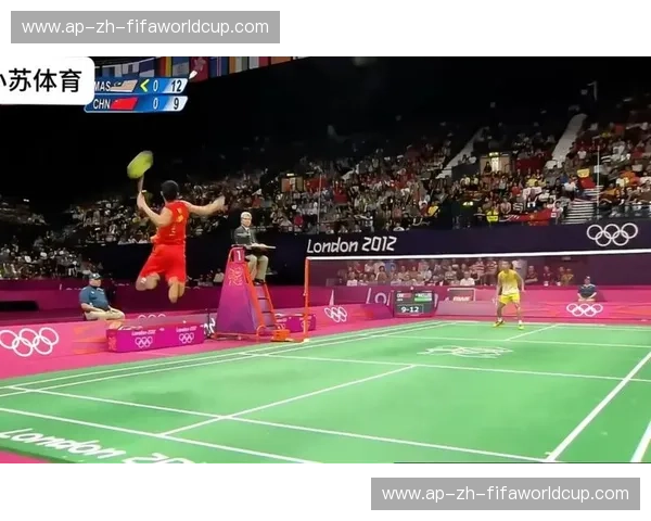 王者对决：林丹与李宗伟，一场宿命的辉煌与泪水